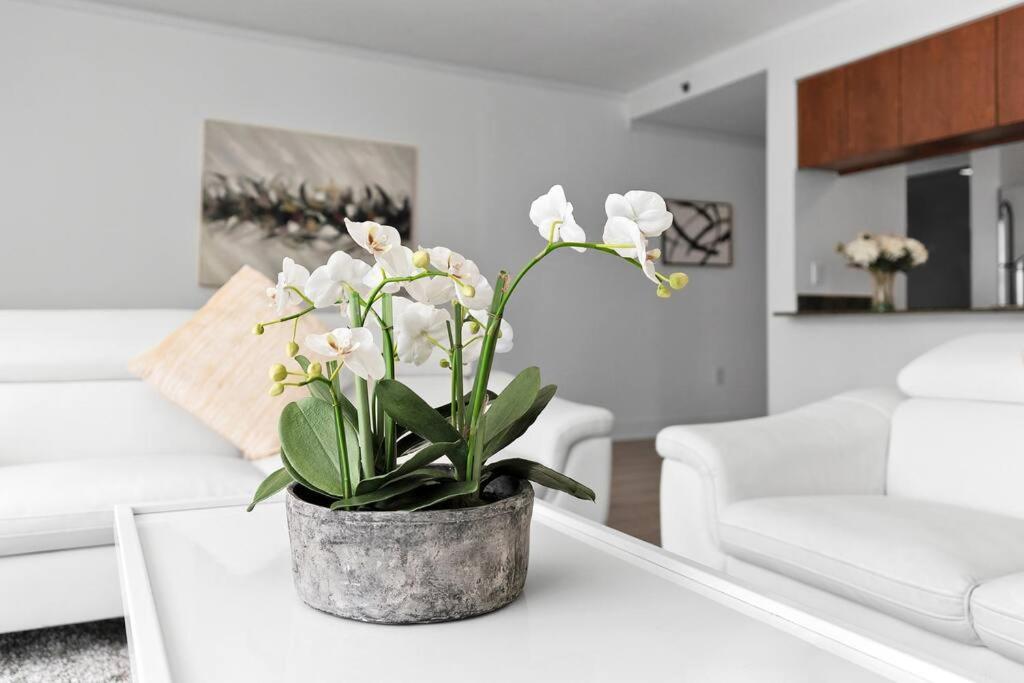迈阿密Modern 2/2 With Beautiful Ocean And Brickell Views公寓 外观 照片